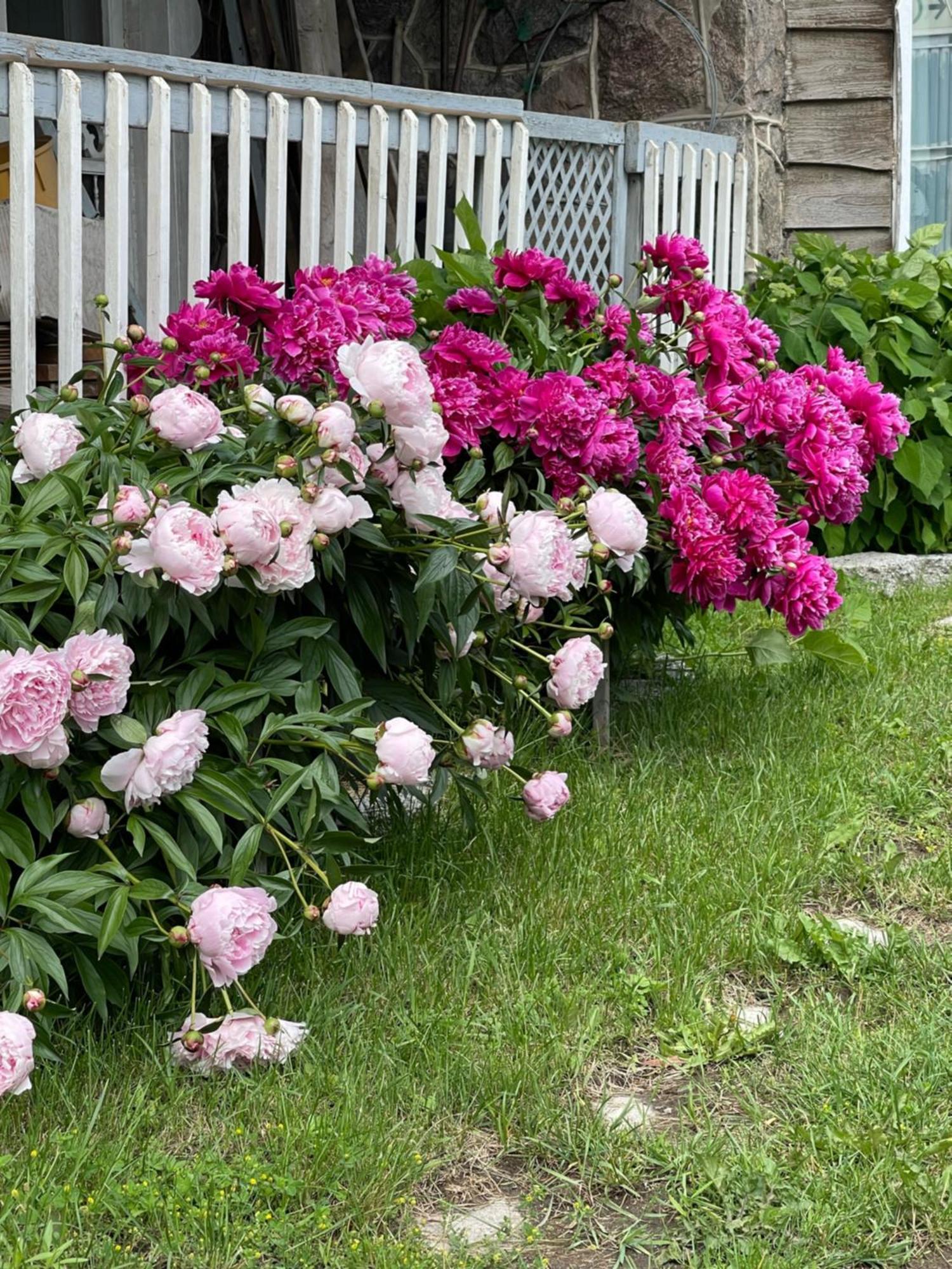 Motel Le Jardin Quebec City Bagian luar foto